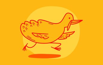 What is the Turkey Trot?