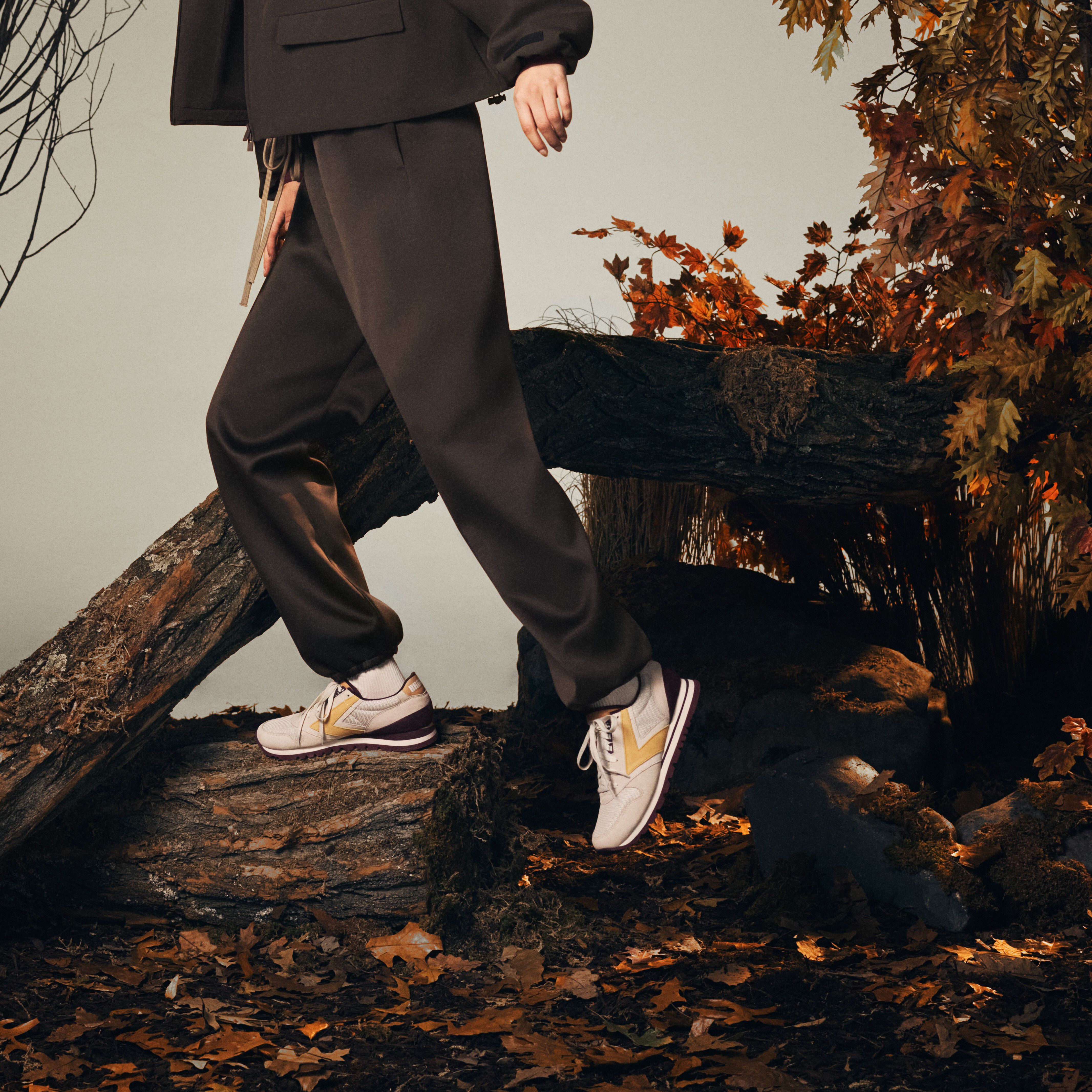 Chariot num&eacute;ro d&rsquo;image 3