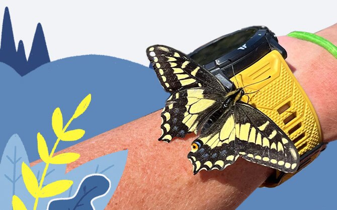 La nature vit partout où nous courons