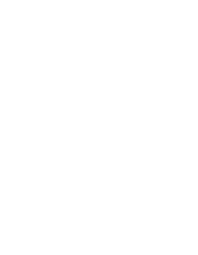 Lightning bolt