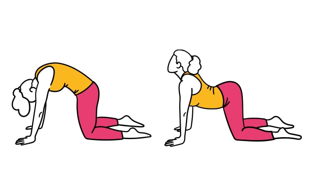 Upper body: Back