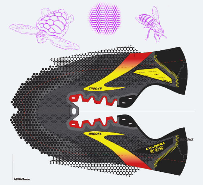 Illustration of shoe with turtle and bee