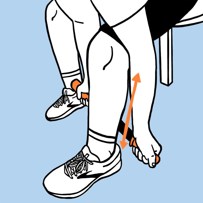 Illustration of rolling calves.