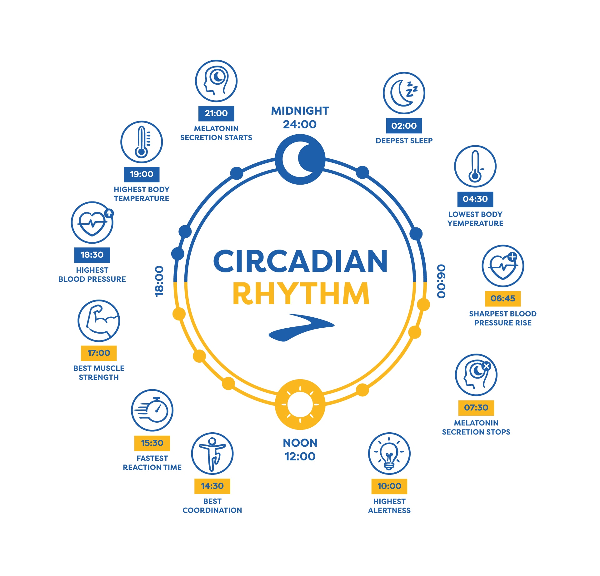 Establish a routine that fits your lifestyle