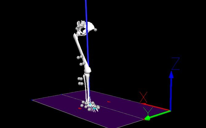 Modelo 3D de una pierna