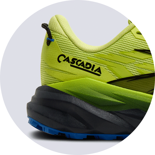 Stable and adaptable