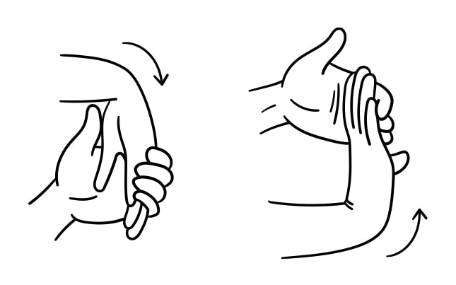 Upper body: Arms