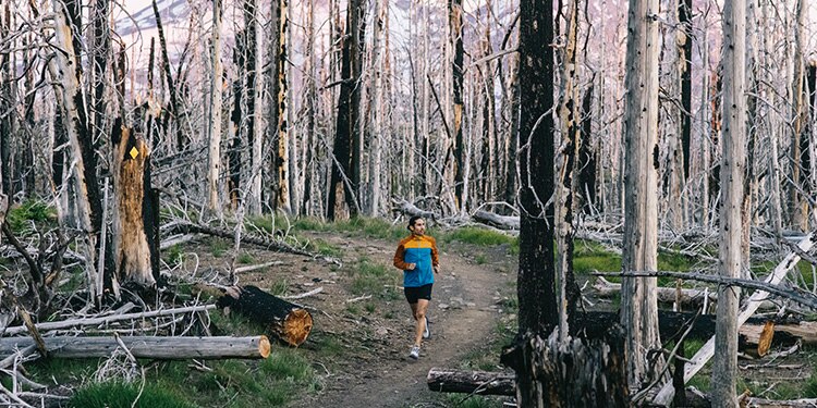 Mario court dans une forêt détruite