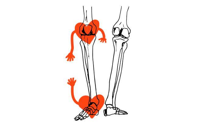 Illustration of leg bones with heart graphics over knee and foot demonstrating healthy relationship between the two body parts. 