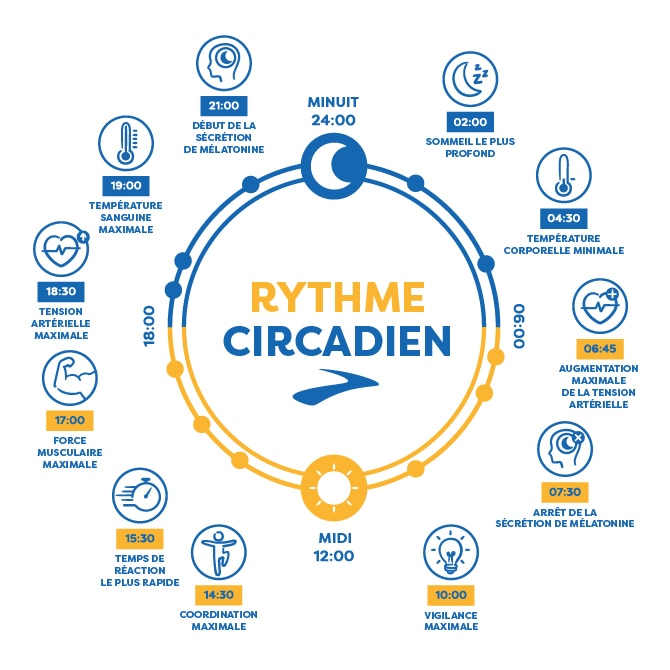 Définis une routine adaptée à ton style de vie