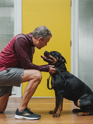 man kneeling down to his dog