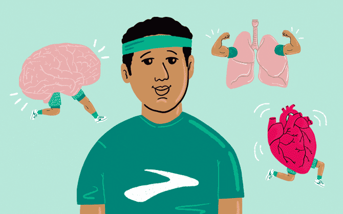 Illustrazione di cervello, polmoni e cuore
