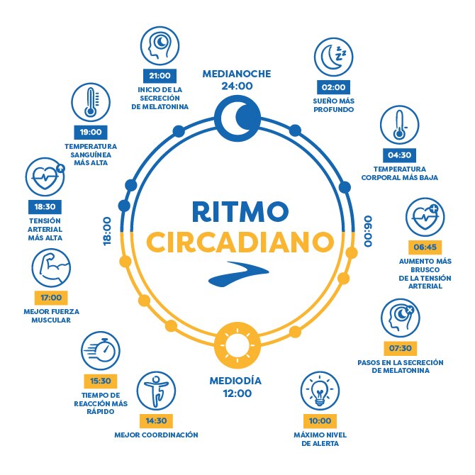 Crea una rutina que se ajuste a tu estilo de vida