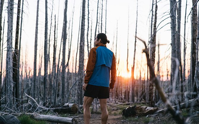 Mario Mendoza looking into destroyed forest