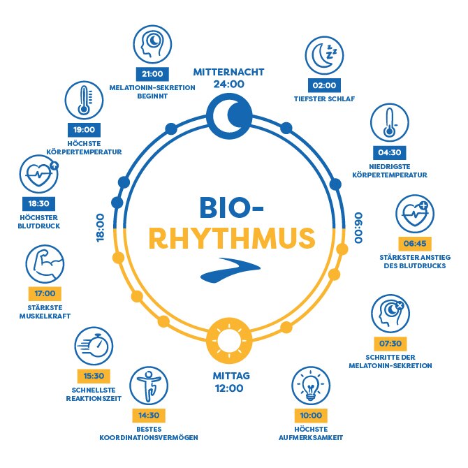 Dein Training sollte zu deinem Lifestyle passen