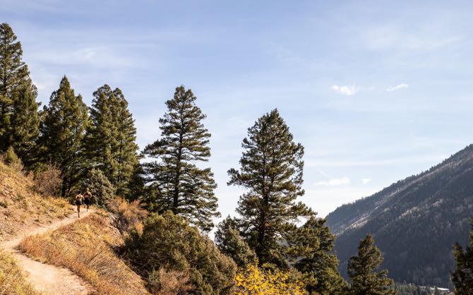 Dirt trail in the mountains 