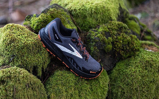 The Appalachian Trail: A walk through history