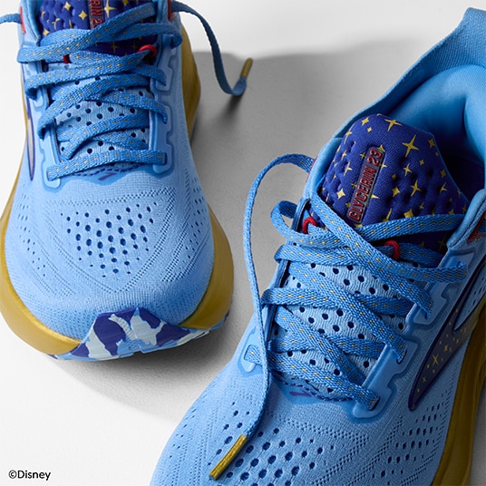 Top view of shoes showing laces