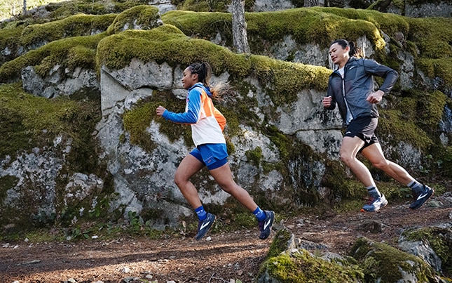 Le sentier Pacific Crest : Vues majestueuses de l’Ouest