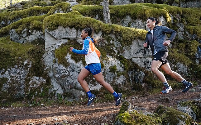 Le sentier Pacific Crest : Vues majestueuses de l’Ouest