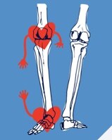 Illustrated bones with hearts