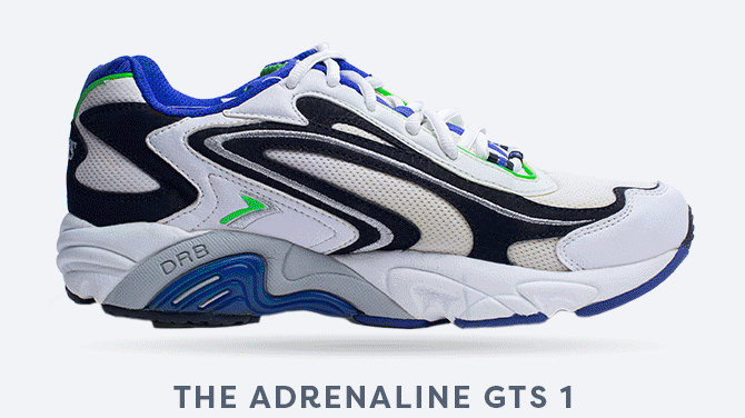 The Brooks Adrenaline GTS 1 shoe
