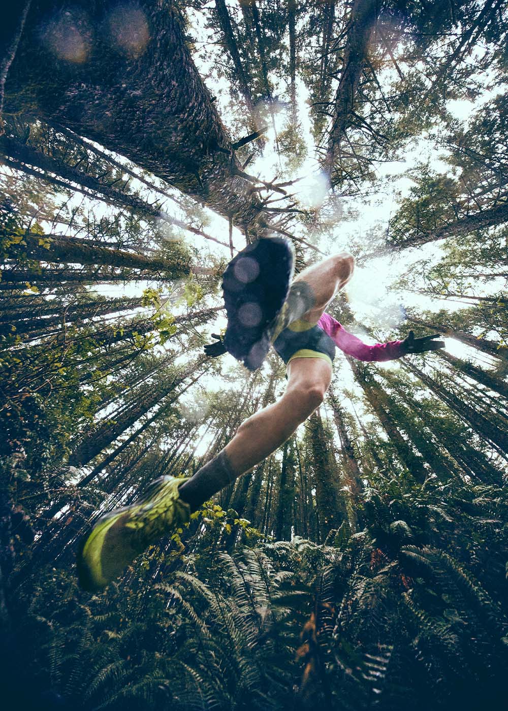 trail runner in the woods