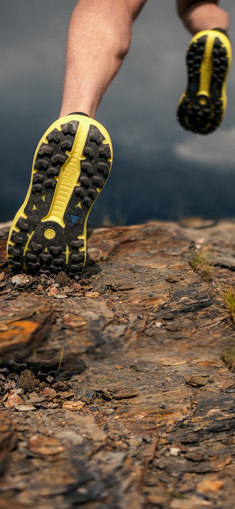The new Caldera 6