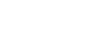 Illustrated shoe