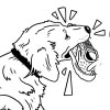 Illustration of Des Linden with speech bubble asking her dog “Time for a run, Boston?”