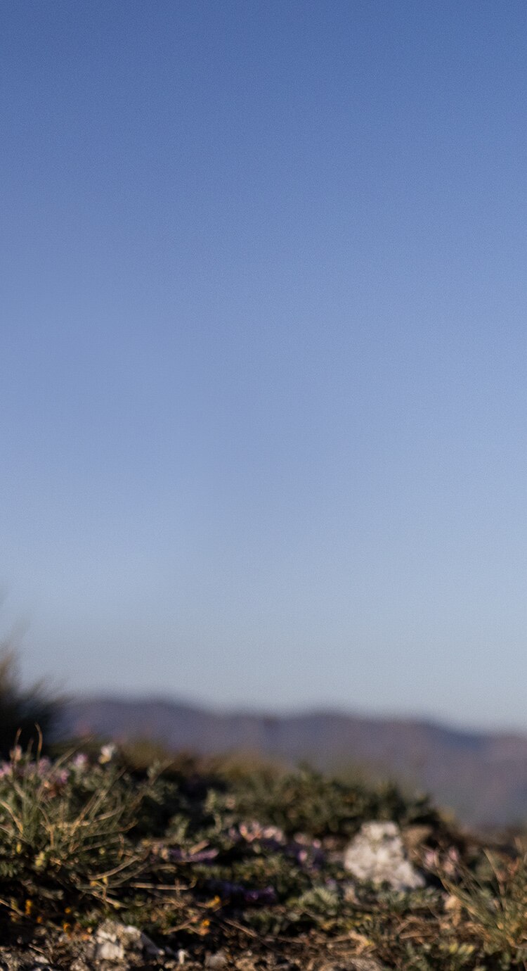 Model wearing Run Merry gear