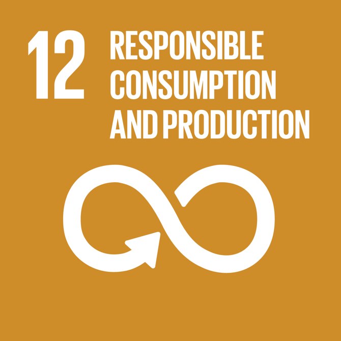 12 – responsible consumption and production