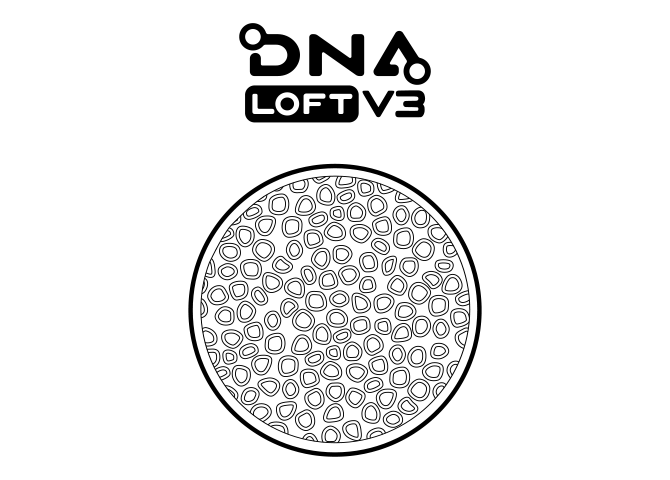 Il logo DNA LOFT v3 con un’illustrazione di grandi bolle raggruppate in un cerchio.