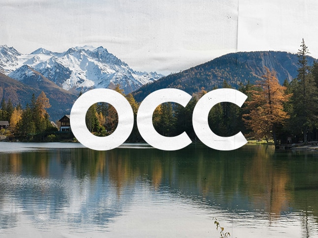 Unsere Brooks Läufer*innen beim OCC Trail-Wettkampf