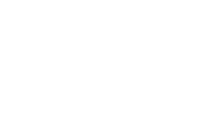 PR Junior logo