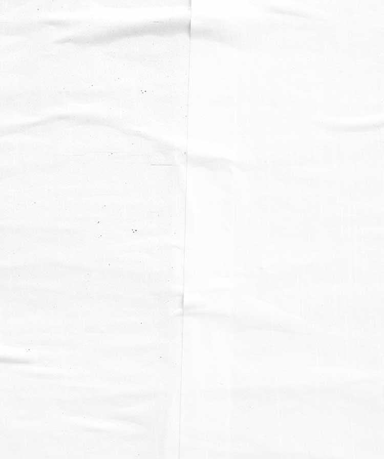 A white, paper-like background