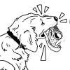 Illustration de Des Linden avec une bulle de dialogue demandant à son chien « C’est l’heure d’aller courir, Boston ? »
