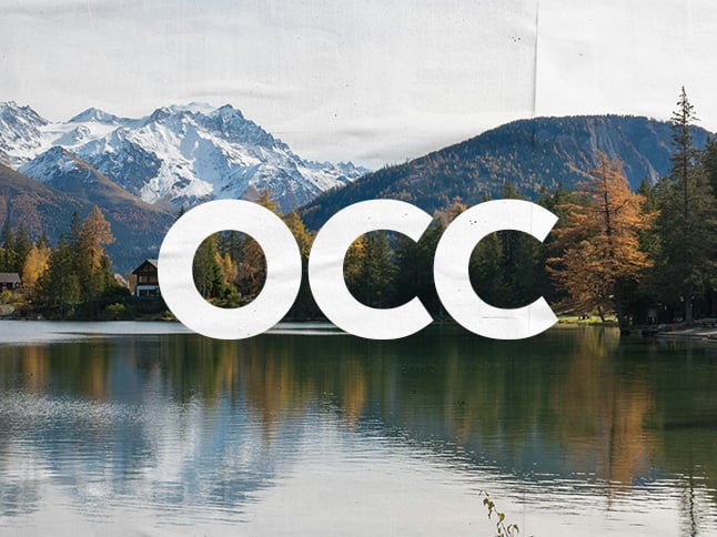Unsere Brooks Läufer*innen beim OCC Trail-Wettkampf