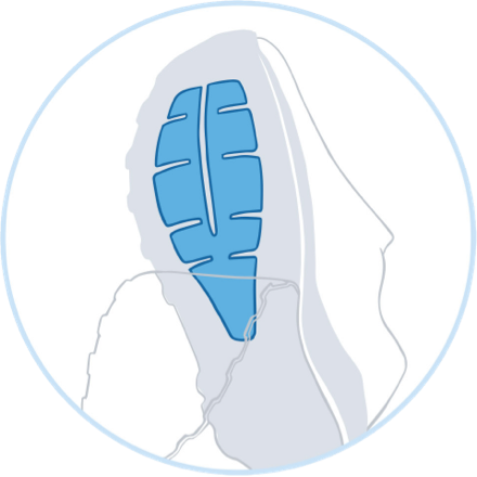 Ilustración del sistema Ballistic Rock Shield en la parte inferior de una zapatilla de montaña Brooks