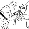 Illustration of Des Linden with speech bubble asking her dog “Time for a run, Boston?”