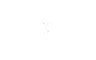illustrated lightbulb
