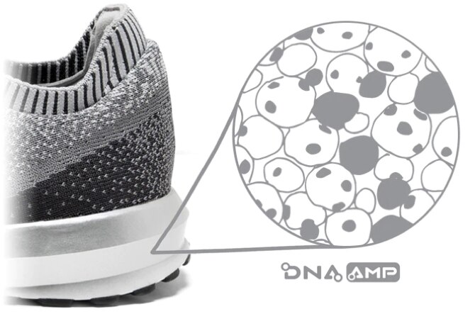 DNA AMP
