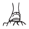 Brooks stable icon