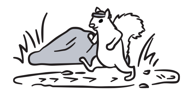 Illustration d’un écureuil qui marche