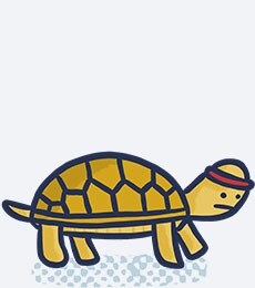 Illustrated turtle